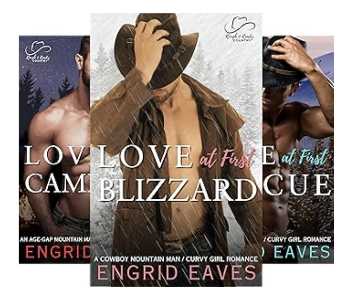 A series of three covers for the book, love at first blizzard.